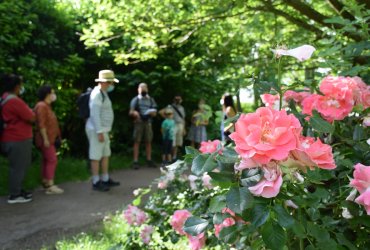 RANDONNÉE MILLE PATTES DANS LA VILLE ET LE PARC - 12 JUIN 2021